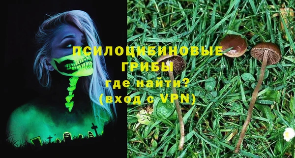 амф Няндома