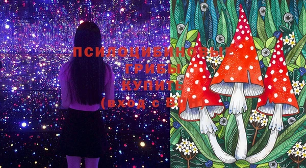 соль курить ск Абаза