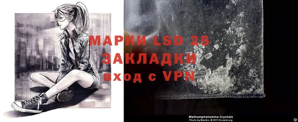 гидра Осинники