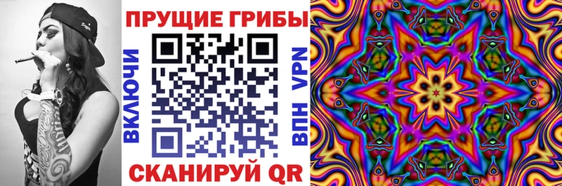 наркота  Тарко-Сале  mega вход  Галлюциногенные грибы мицелий 